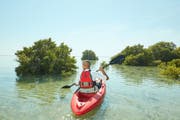 Kayak dans la mangrove Al Thakira