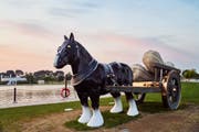 Aspire Park in Doha