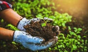 Children’s gardening workshop