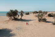 The top public beaches in Qatar