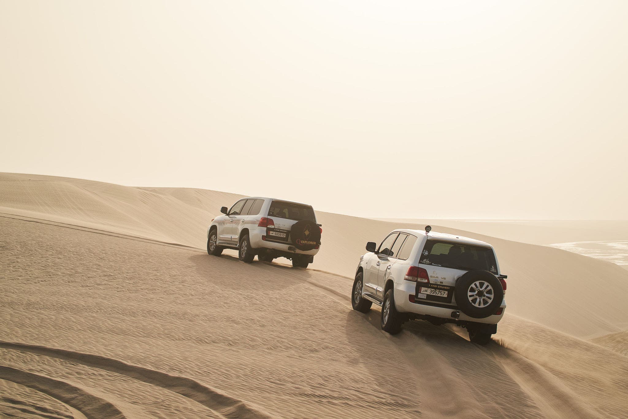 Sealine Season 2025 | Desert Wonder Experience