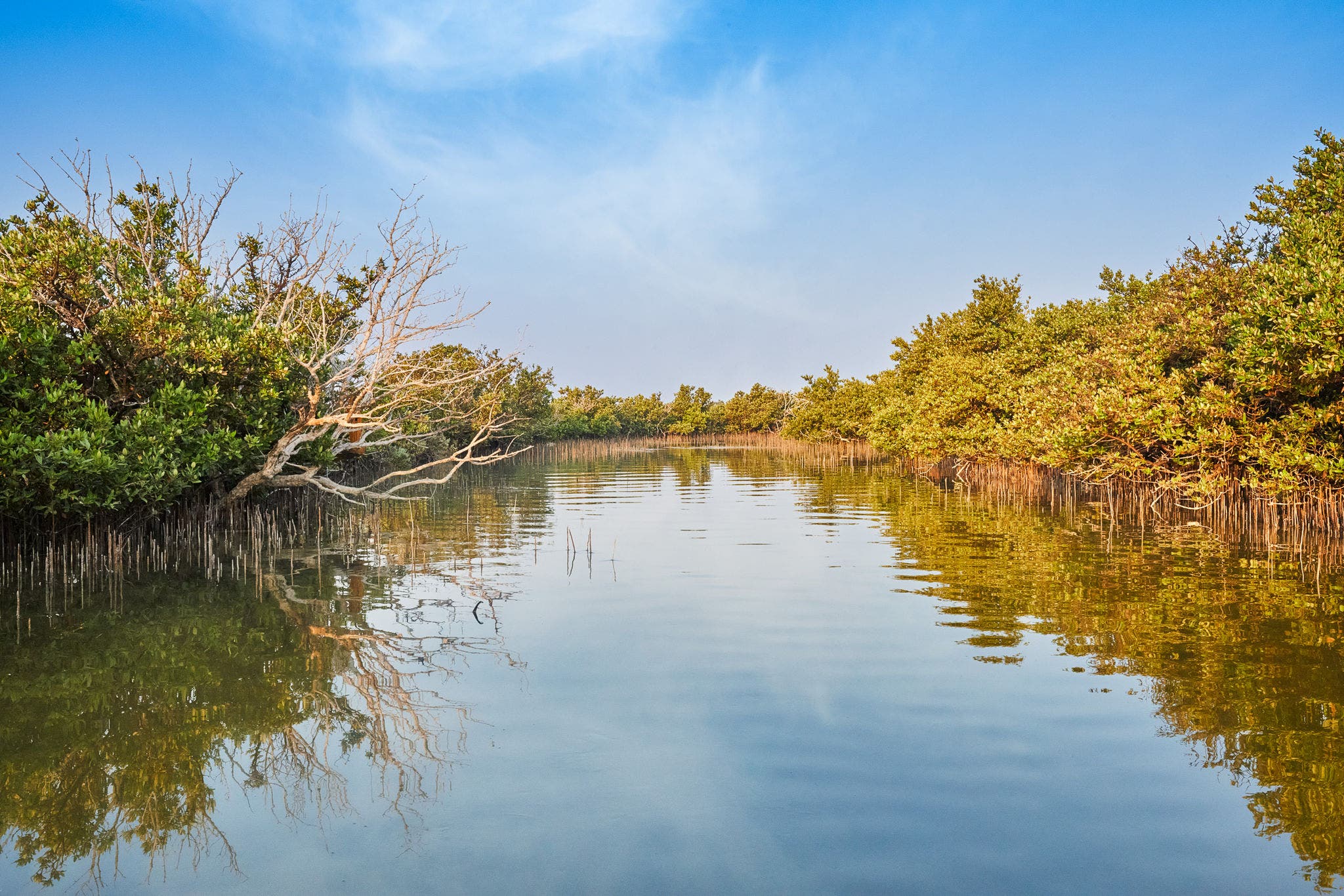 Al Khor | Breathtaking City