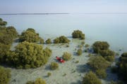 Al Bidda Park | Un’oasi nel verde nella capitale Doha