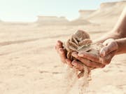 La nature au Qatar | À la découverte des merveilles de la nature