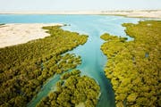 Al Thakira Mangroves | Top 5 Things to do