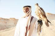 Le faucon : l’oiseau national du Qatar