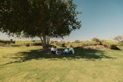 Al Bidda Park | A green oasis in the capital Doha