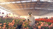 Doha Expo 2023 | Qatar Horticultural Expo