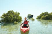 Die sieben wichtigsten Gründe, warum Katar das ideale Reiseziel für Kitesurfen ist. 