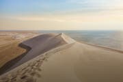 La nature au Qatar | À la découverte des merveilles de la nature