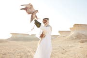 Le faucon : l’oiseau national du Qatar