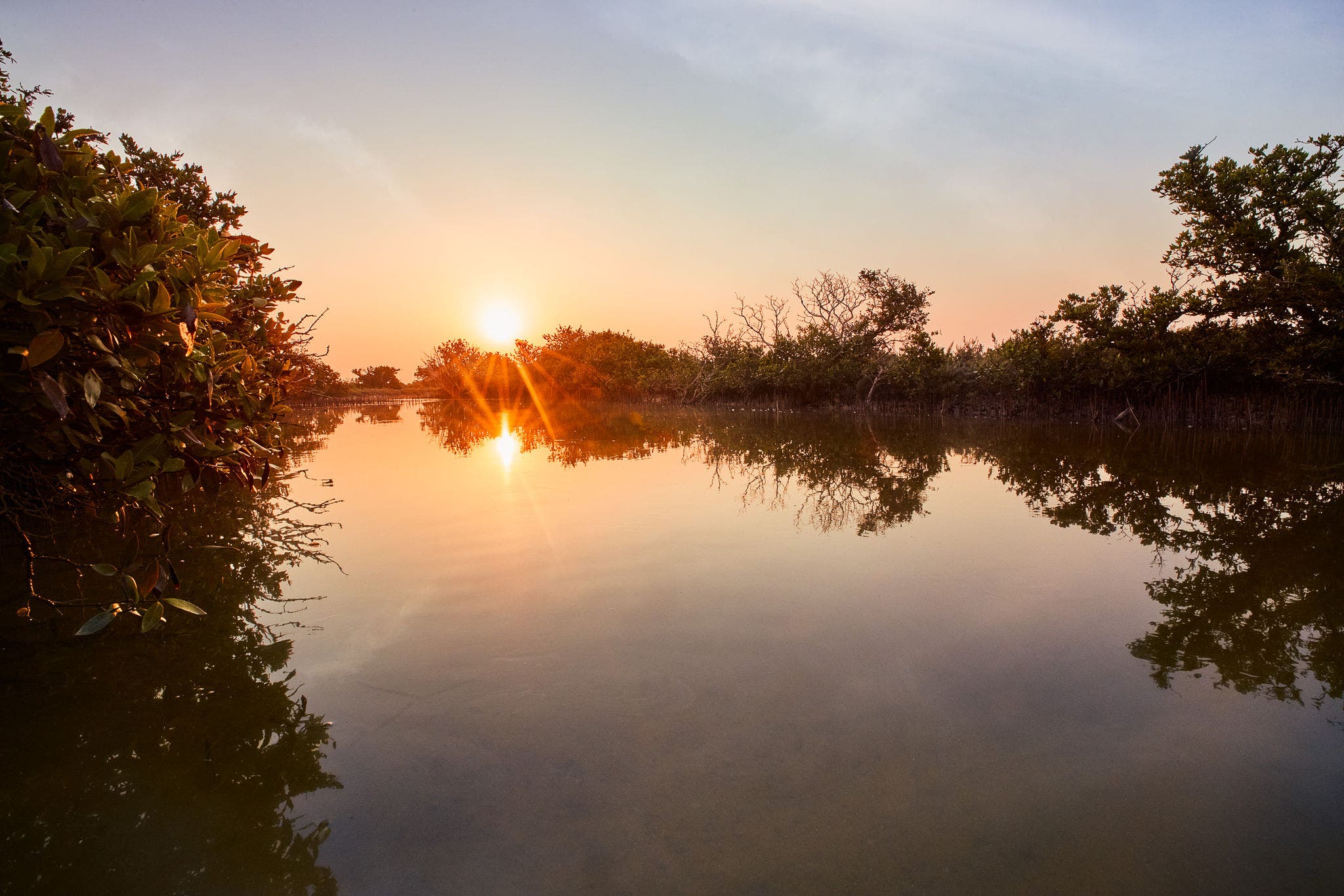 Safari dans le désert du Qatar