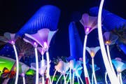 Luminous Festival Lusail 2025 | Everything you need to know